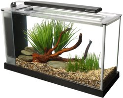Nano Aquarium 21 Liter Zwart met Krachtige LED Verlichting