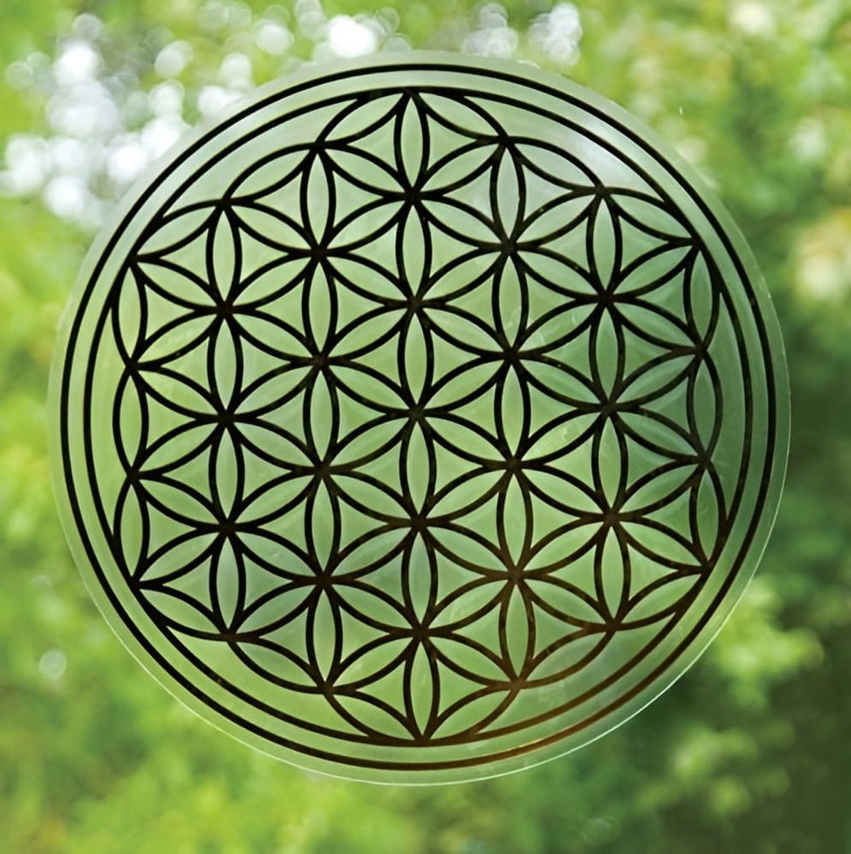 Levensbloem sticker 8 cm (12 stuks)