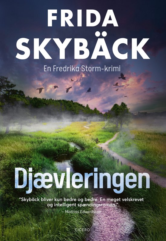 Fredrika Storm 4 - Djævleringen - cover
