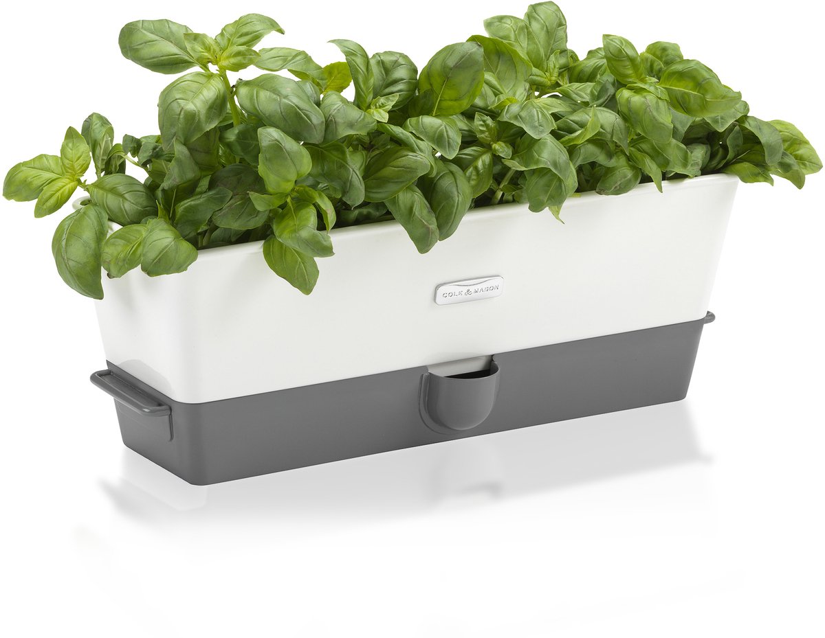 Cole & Mason Burwell Zelfwaterende Kruidenpot (Triple) - Voor 3 Kruidenplanten - Innovatief Bewateringssysteem met Waterreservoir & Hydro-pads