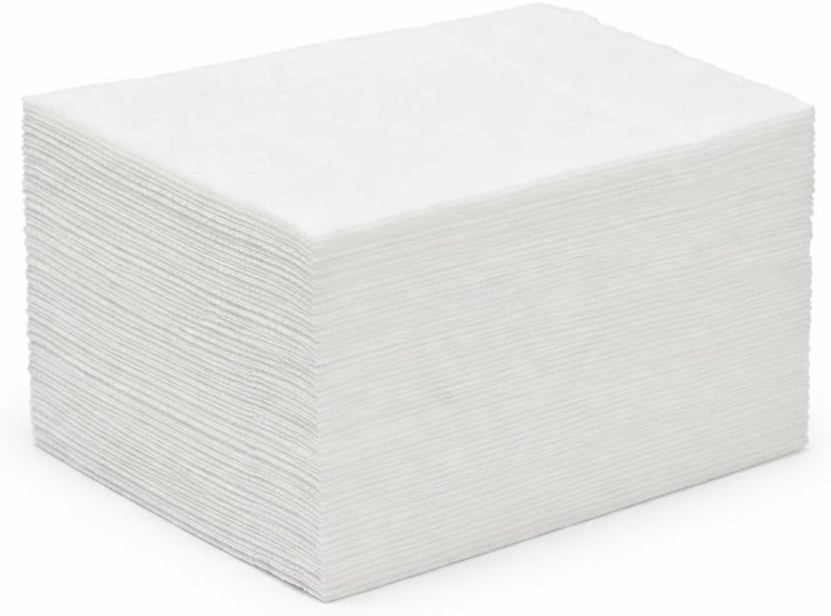Papieren servetten - Wegwerp servetten - Horeca en thuis - 2-laags absorberend - 21x16 cm - Wit