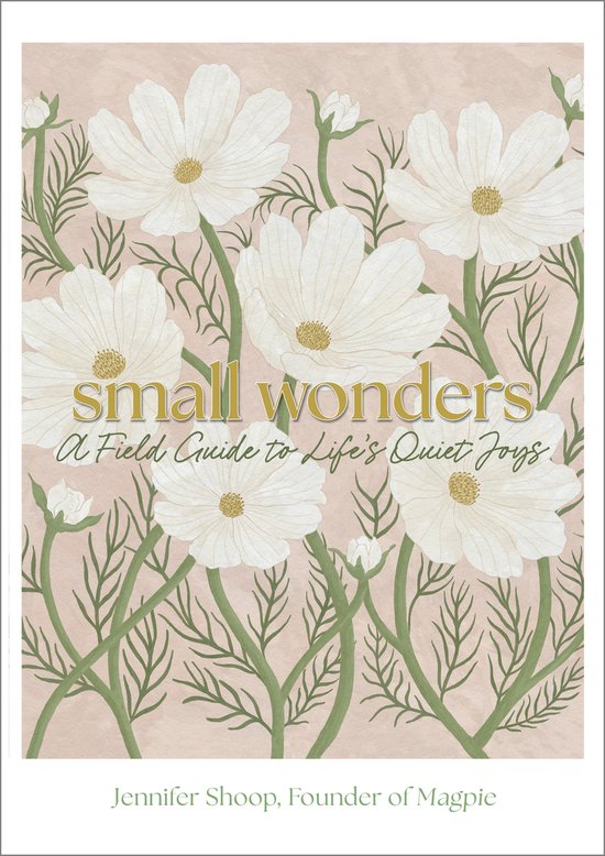 Small Wonders - cover