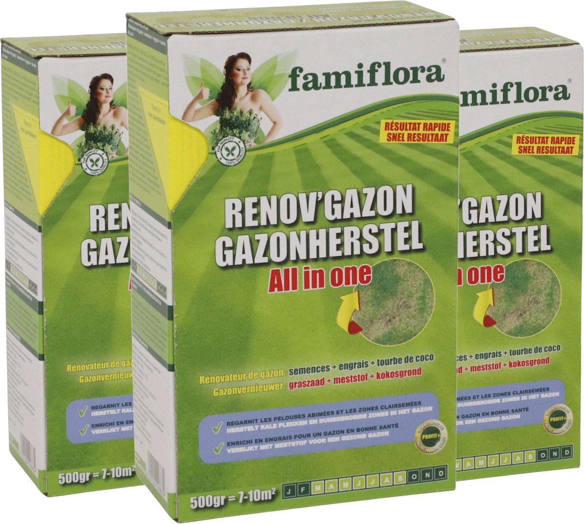 Famiflora herstelgazon graszaad 1.5KG (3 x 500GR) - 1500 gram voor 30m2 - Herstelt kale plekken snel zodat je gazon er weer strak uitziet zonder maanden wachten