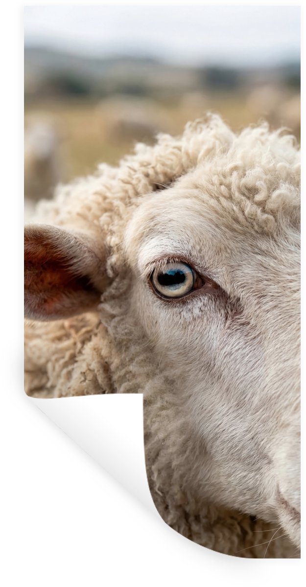 Muurstickers - Sticker Folie - Schaap - Oog - Wit - 60x120 cm - Plakfolie - Muurstickers K