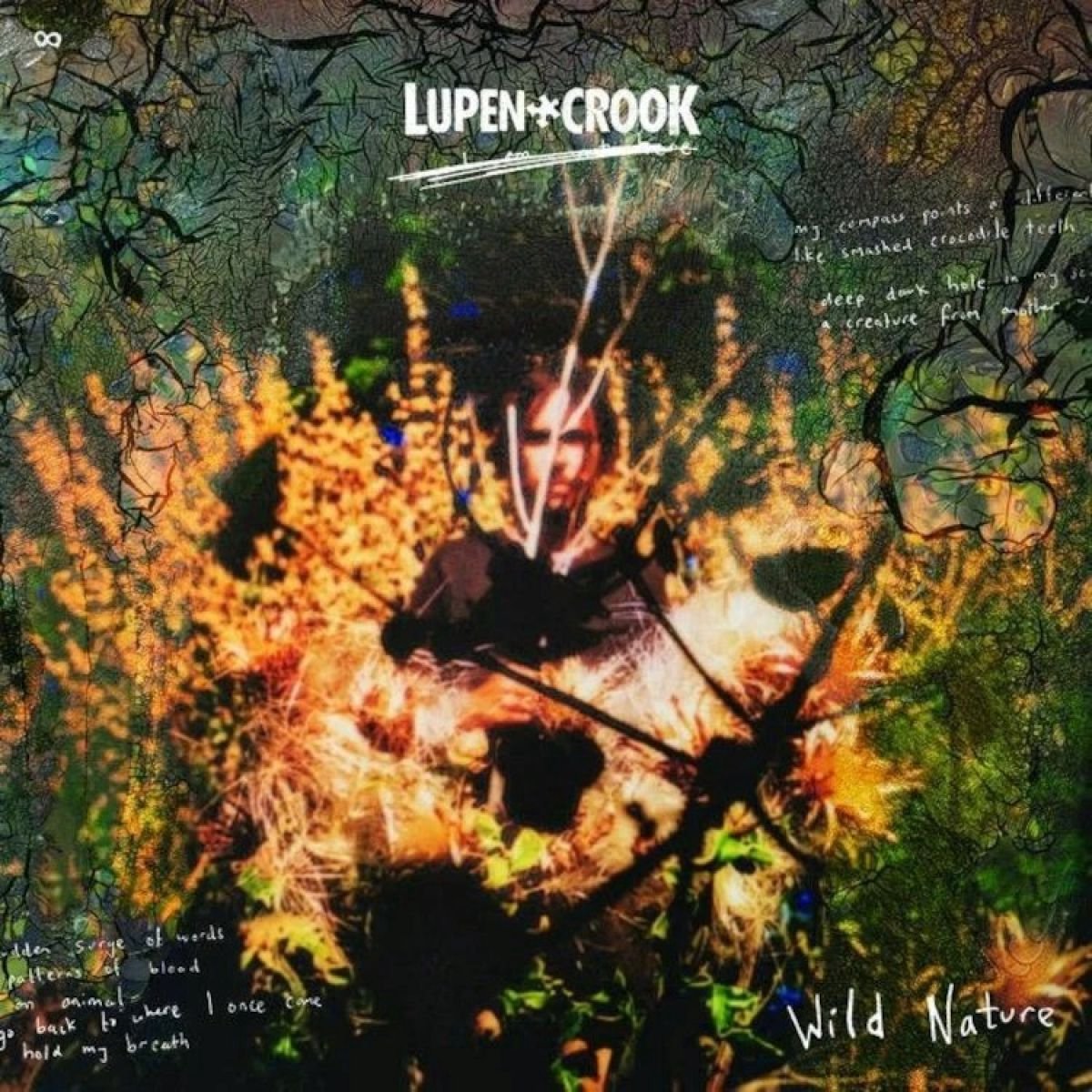 Lupen Crook - Wild Nature (LP)