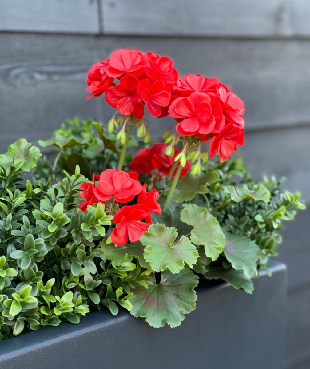 Geranium kunstboeket 38cm rood UV