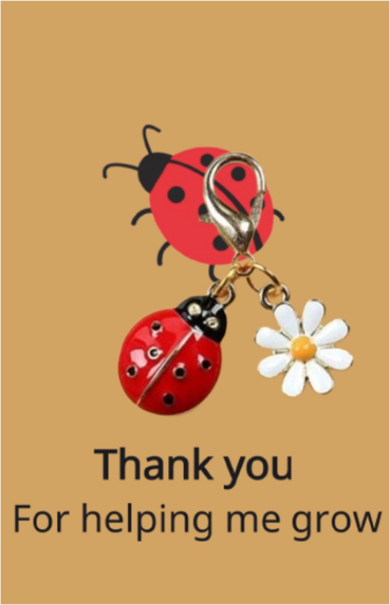 Pradeo - Lieveheersbeestje Sleutelhanger - Gelukshanger - Hangertje - Lieveheersbeestje Met Bloemetje -Ladybug - Key Chain - Pocket Hug - Klein Cadeau / Geschenk - Met Kaartje Met Tekst