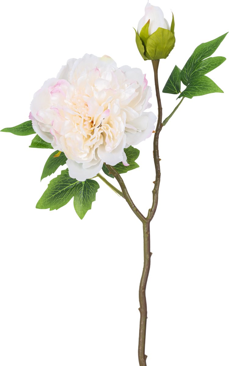 Easyplants | Kunstbloem Pioen 50 cm wit | Zijde | Nepbloemen | wit | Onderhoudsvrij | Kant-en-klaar