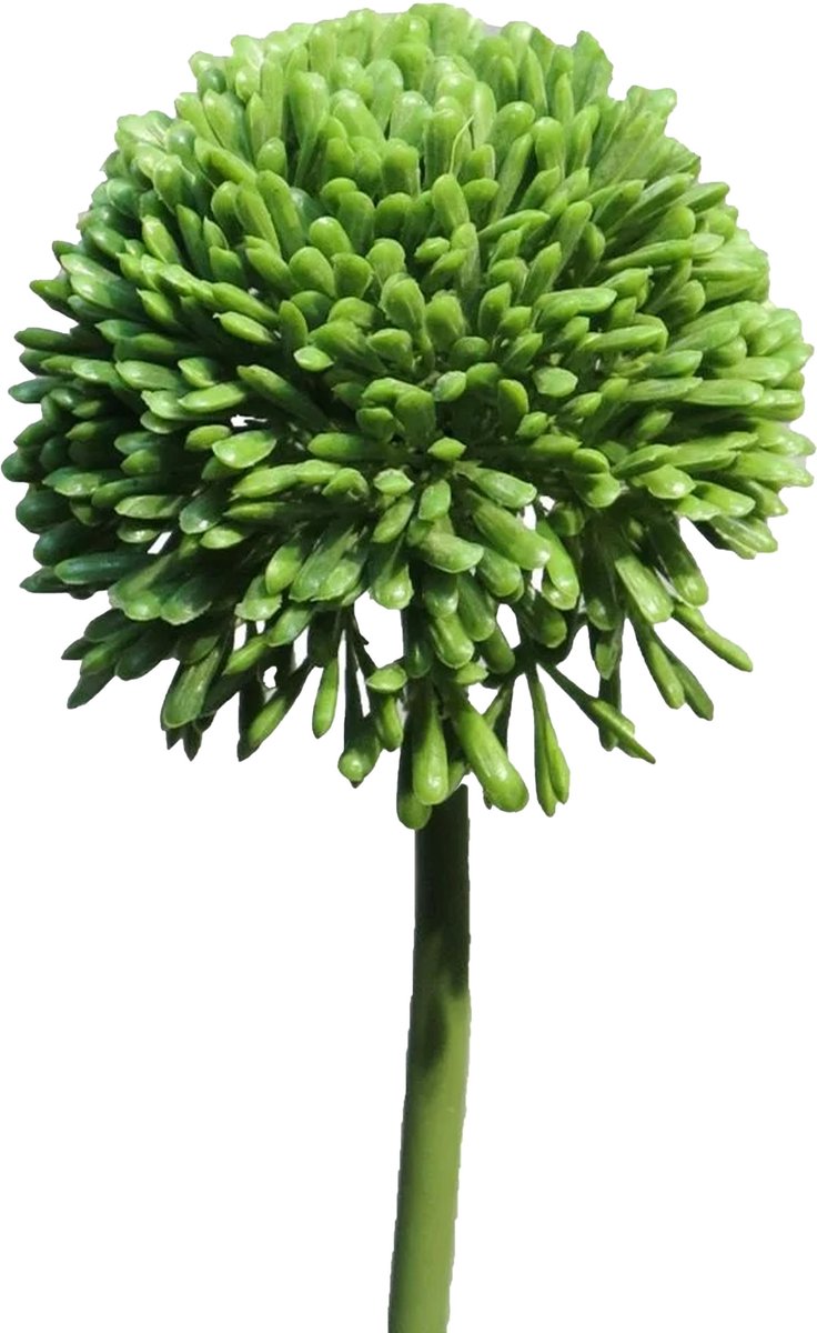 Bellatio Design Sierui Globemaster kunstbloem - losse steel - groen - 44cm - Natuurlijke uitstraling