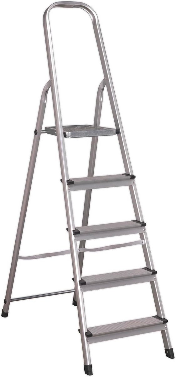 Aluminium Steekladder 5 Treden - Lichtgewicht en Stevig - Belastbaar tot 150 kg