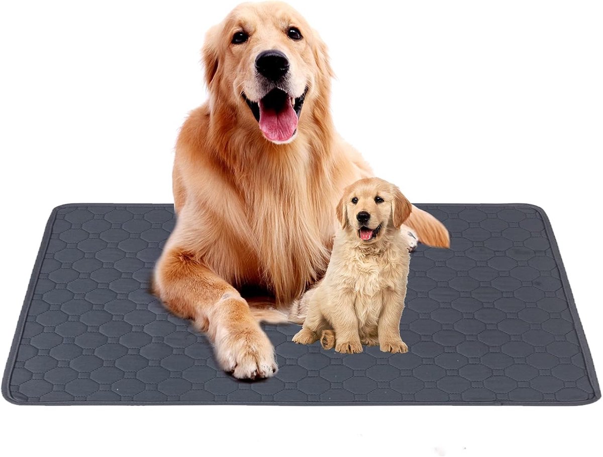 Oneay Wasbare plasmatten voor honden, herbruikbare trainingsmatjes voor honden, antislip waterdichte plasmatten voor honden, trainingsmatjes voor puppy's, werpmatjes voor honden en katten - Grijs