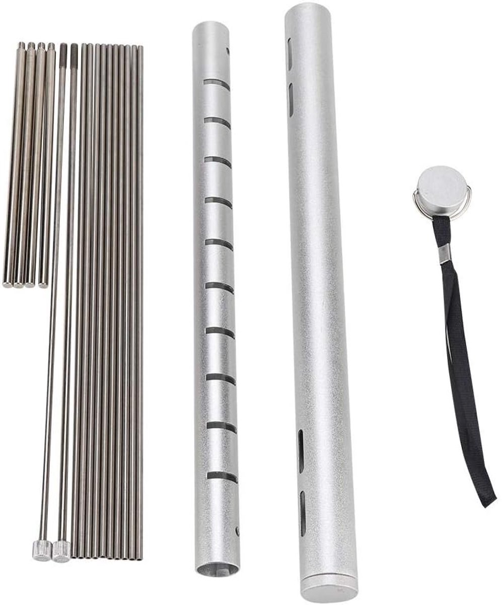 Draagbare Opvouwbare BBQ Grill RVS - Compacte Houtskoolbarbecue voor Camping en Picknick