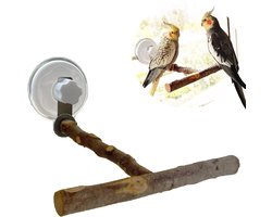 Draagbare Houten Zitstok met Zuignap voor Papegaaien en Kleine Vogels