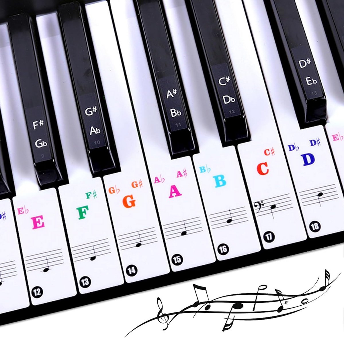 Pianotoetsen Stickers Notenoverzicht voor Beginners - Universeel voor 37 t/m 88 Toetsen