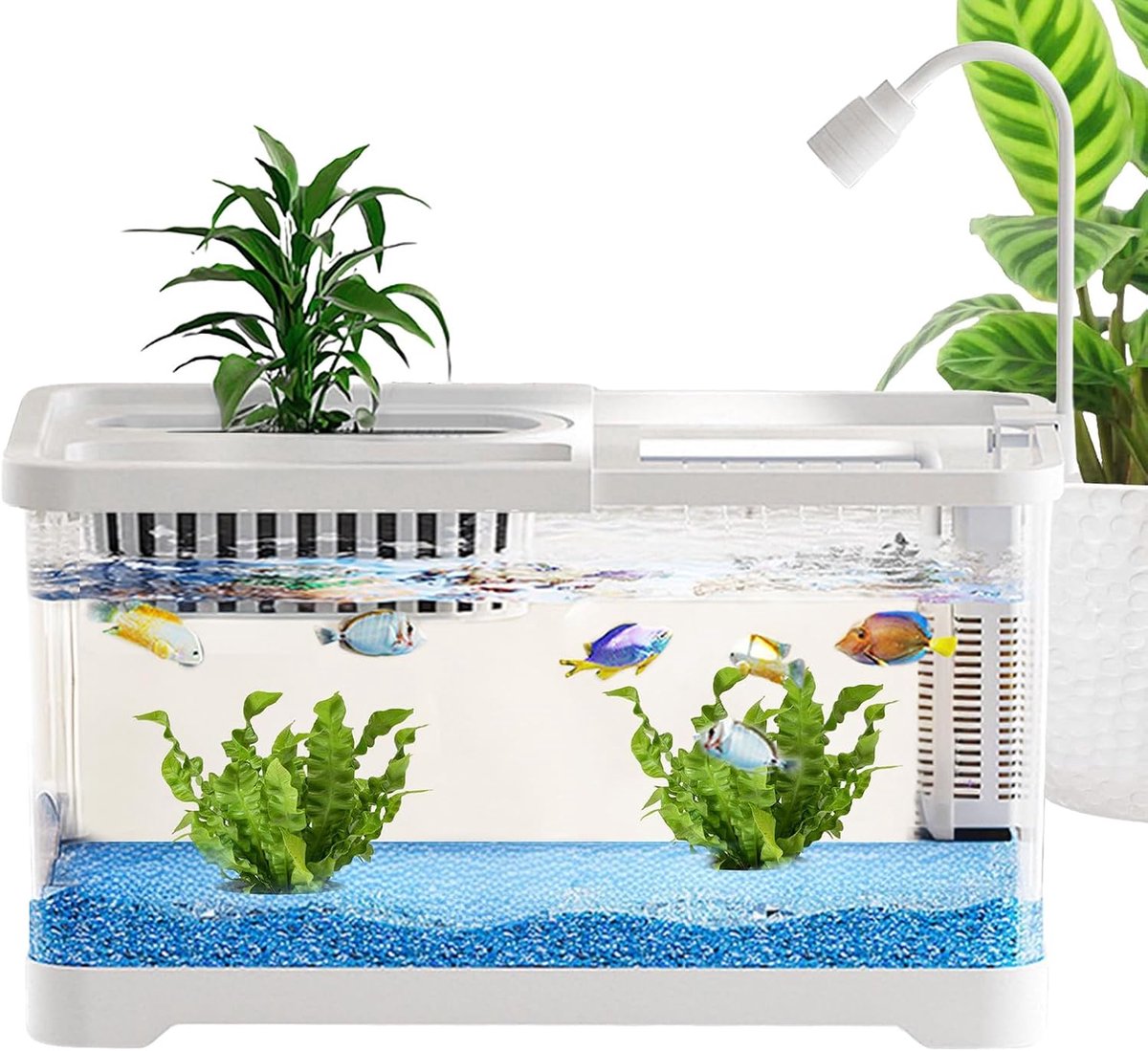 Aquarium Complete Set - Kleine Visbak thumbnail 5