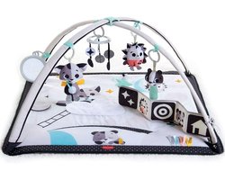 Muzikale Babyspeelmat - Activiteiten Speelkleed - Baby Ontwikkeling - Verstelbare Bogen - 78x88x45 cm - Zwart Wit