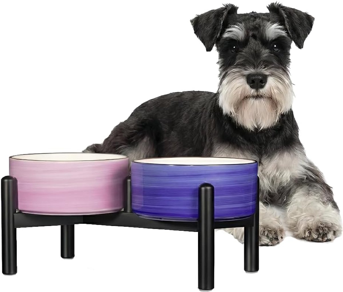 Verhoogde voerbak set - Honden voerbak - Comfortabel eten - Antislip standaard - 350ml 660ml - Pastelkleuren