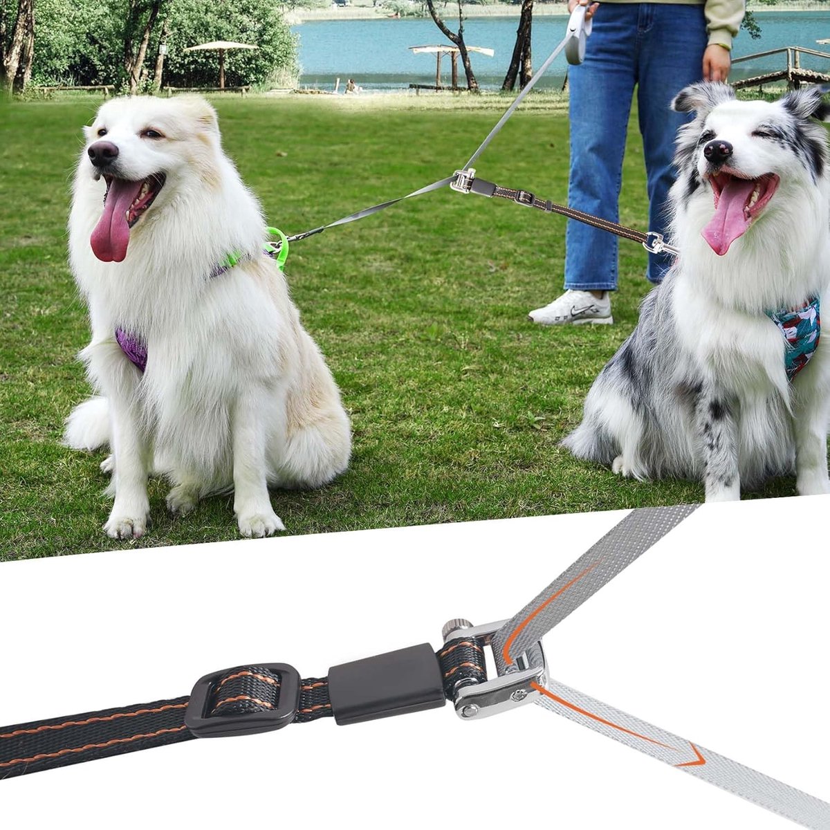 Dubbele Hondenriem - Twee Honden Lijnen - Gezamenlijk Wandelen - Klitvrij Ontwerp - Verstelbaar 35-76 cm - Zwart
