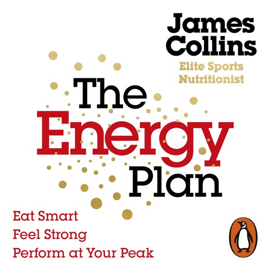 The Energy Plan - cover