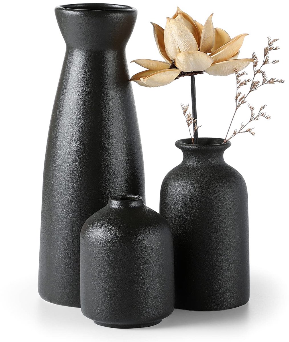 CEMABT Zwarte keramische vazenset van 3 kleine bloemenvazen ??ter decoratie, moderne rusti