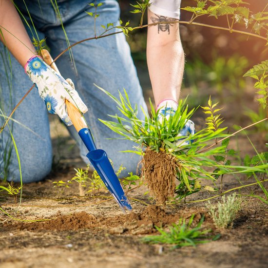 KADAX Robuuste onkruidsteker van roestvrij staal, handmatige onkruidsteker met houten handvat, onkruidtrekker, onkruidjager, tuinwieder, worteljager (50 cm, blauw) van KADAX — afbeelding 3