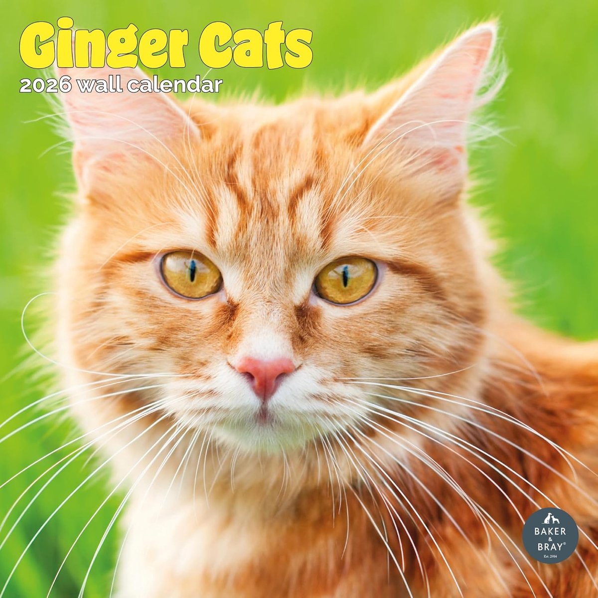 Rode Katten Kalender 2027