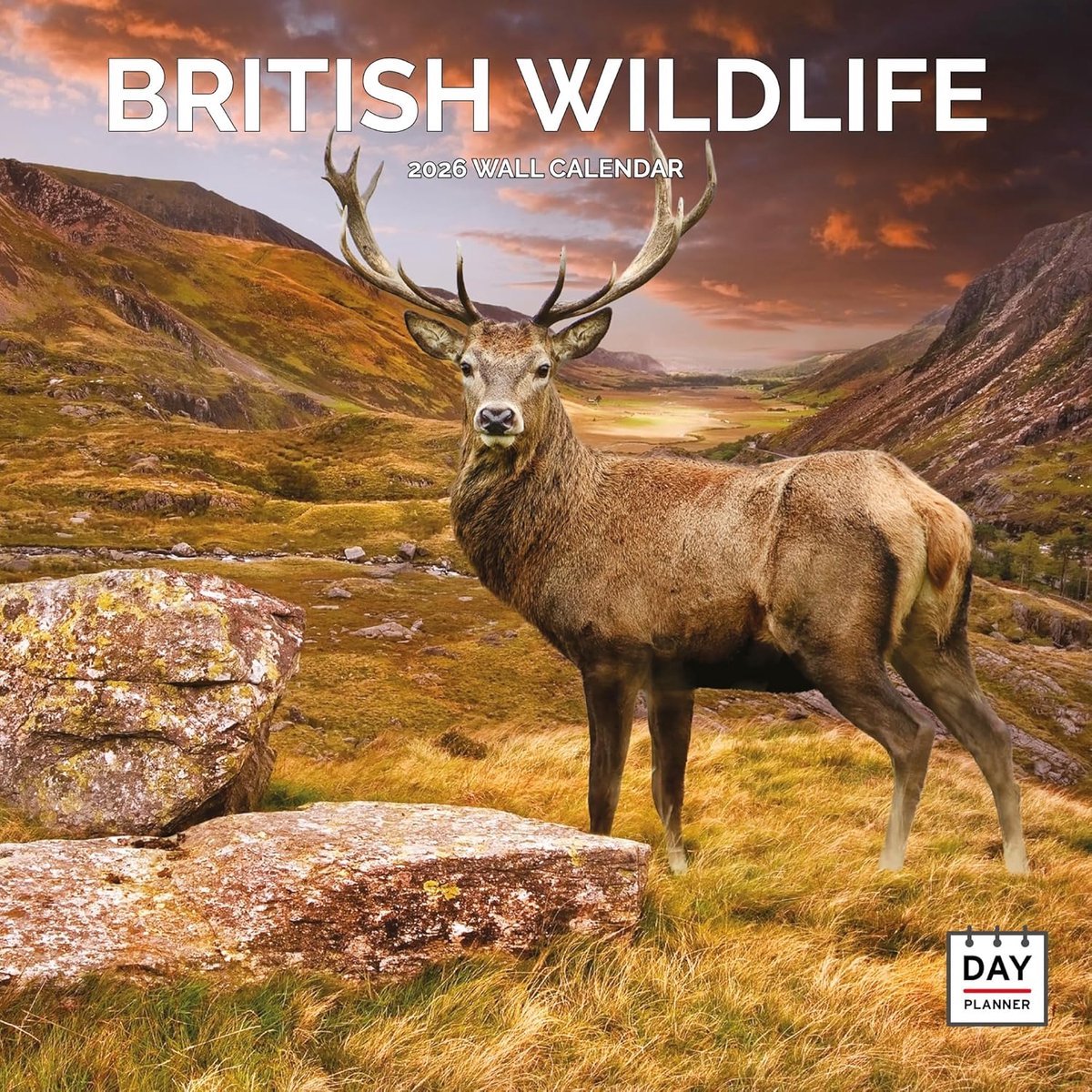 British Wildlife Kalender 2027