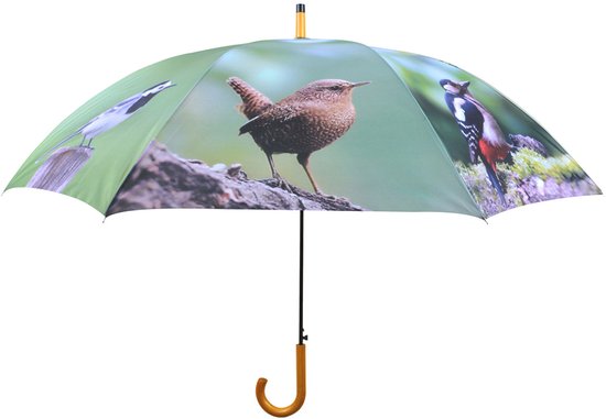 Open paraplu met een print van tuinvogels op een groene achtergrond, met een houten handvat.