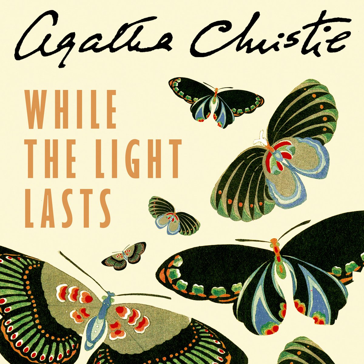 Omslag van While the Light Lasts