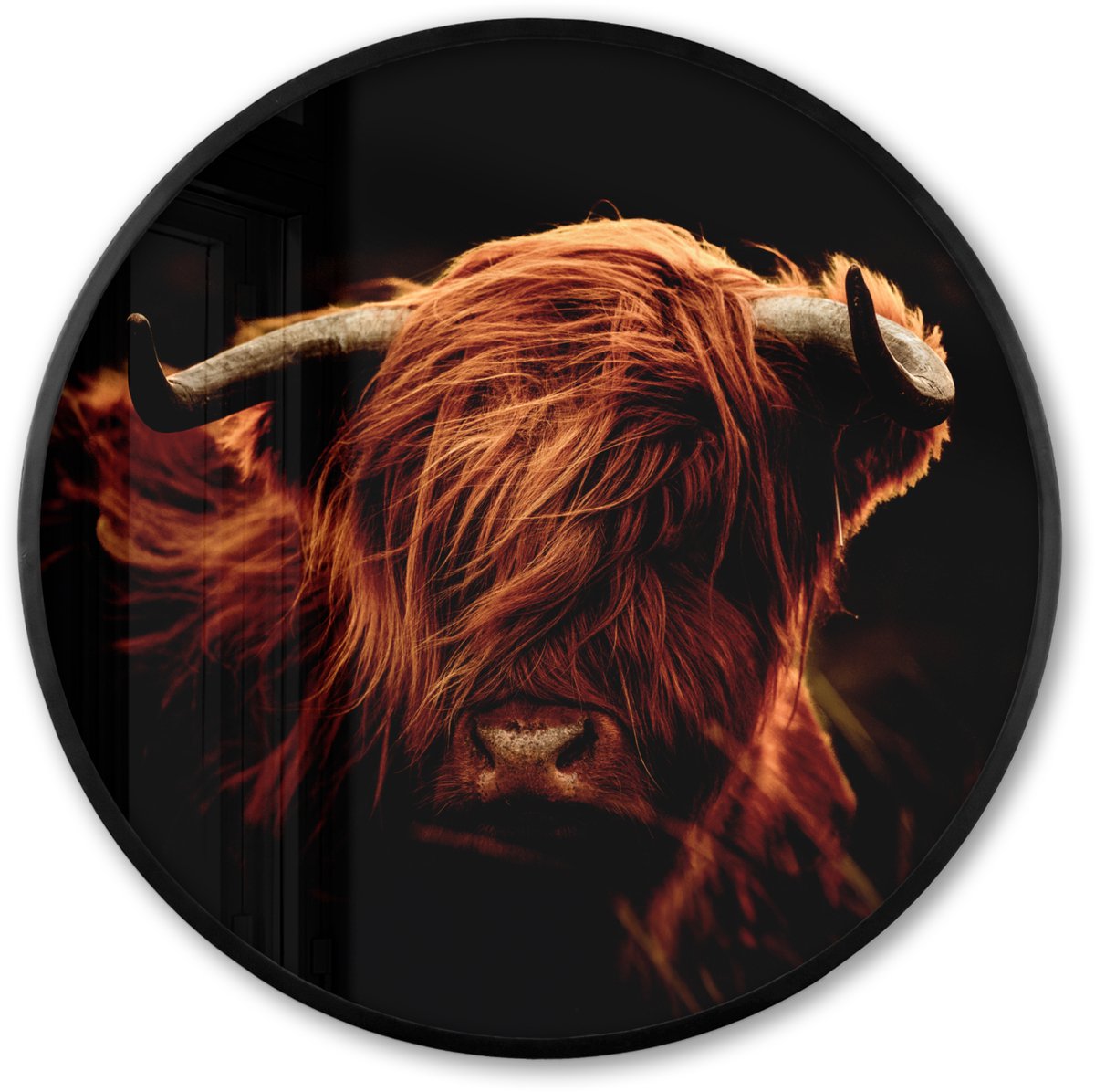 FrameYourWall Poster in lijst Rond - Fotolijst 80x80 cm - Posters - Schotse hooglander - Koe - Hoorns - Portret - Dieren - Ronde posterlijst zwart - Decoratie - Wanddecoratie woonkamer - Muurdecoratie slaapkamer Schotse hooglander - Portret