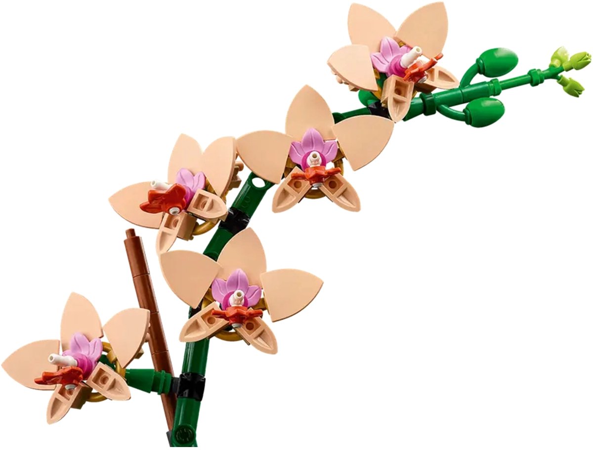LEGO Botanicals Mini orchidee - 10343 — afbeelding 10