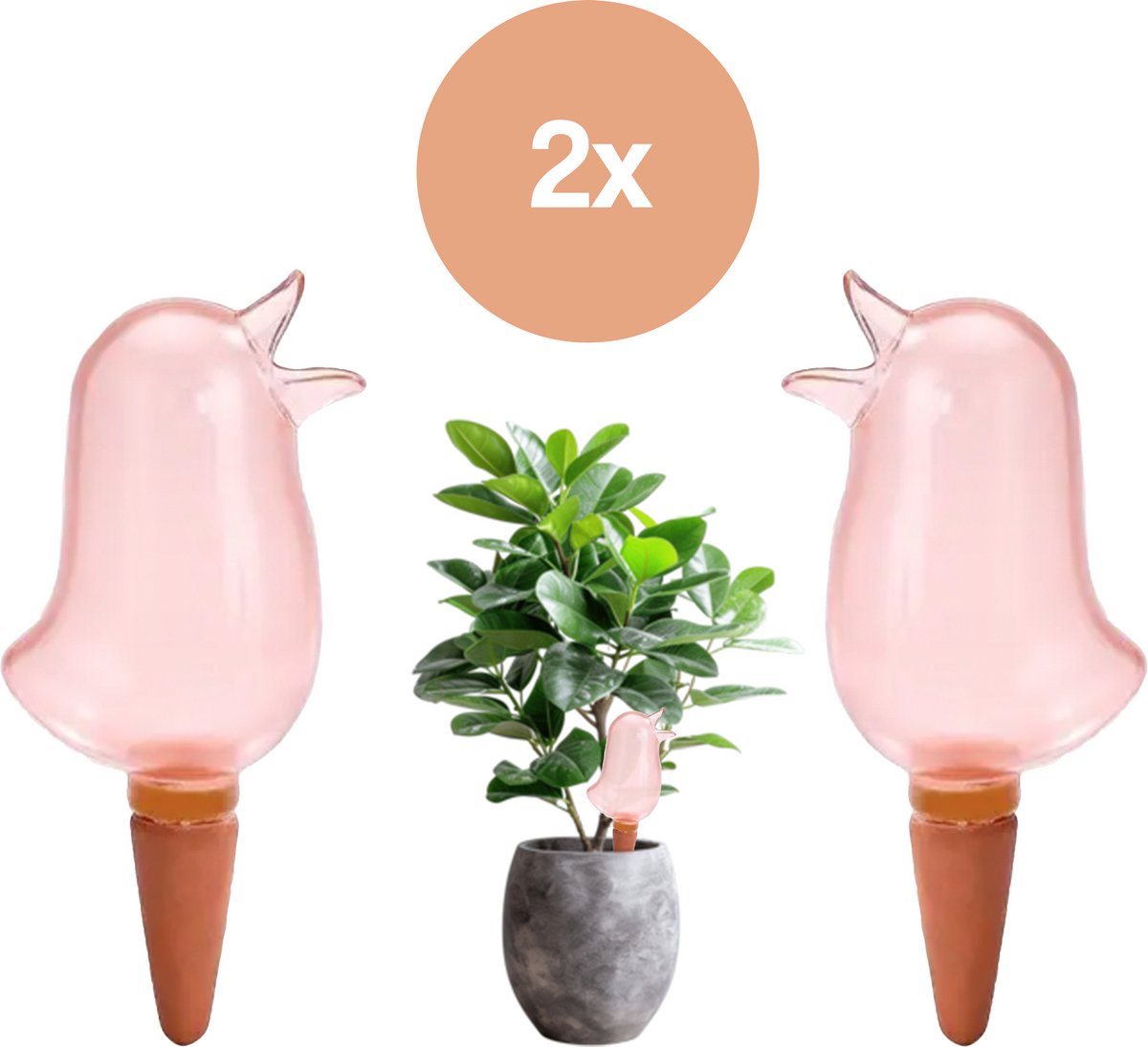 DIVERZA Waterdruppelaars planten – Druppelaar vogel - Watergeefsysteem voor Kamerplanten en bloemen – Herbruikbaar – Set van 2 – Roze