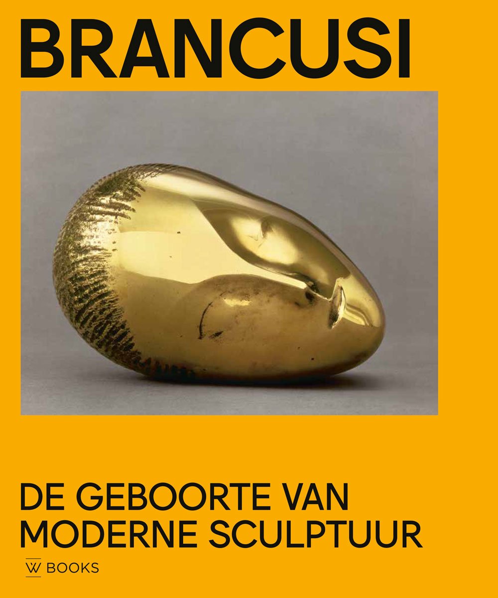 Omslag van Brancusi