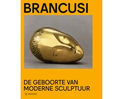Omslag van Brancusi