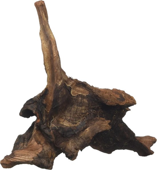 biOrb 46140 Paddenstoelstronk ornament – kunstmatige