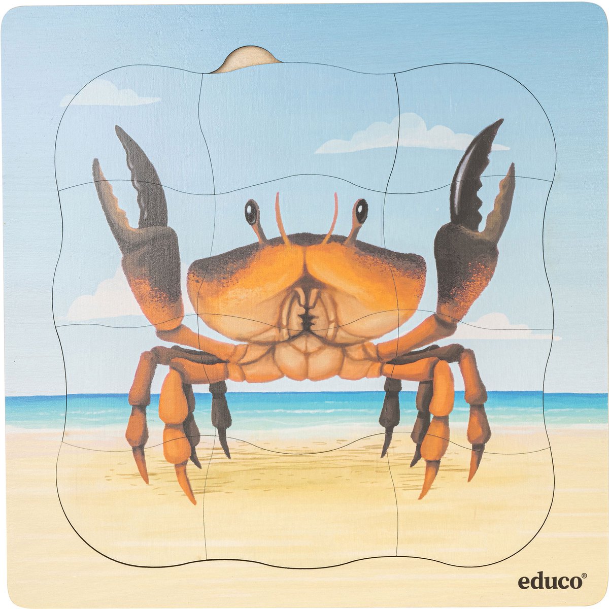 Groeipuzzel strand - Krab
