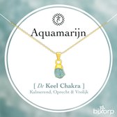 Bixorp Ruwe Aquamarijn Ketting - Goud Verguld S925 Zilver + Edelsteen Hanger - Onbewerkte Steen - Spirituele Chakra Ketting met Cadeau Kaartje - 45cm + 5cm verstelbaar