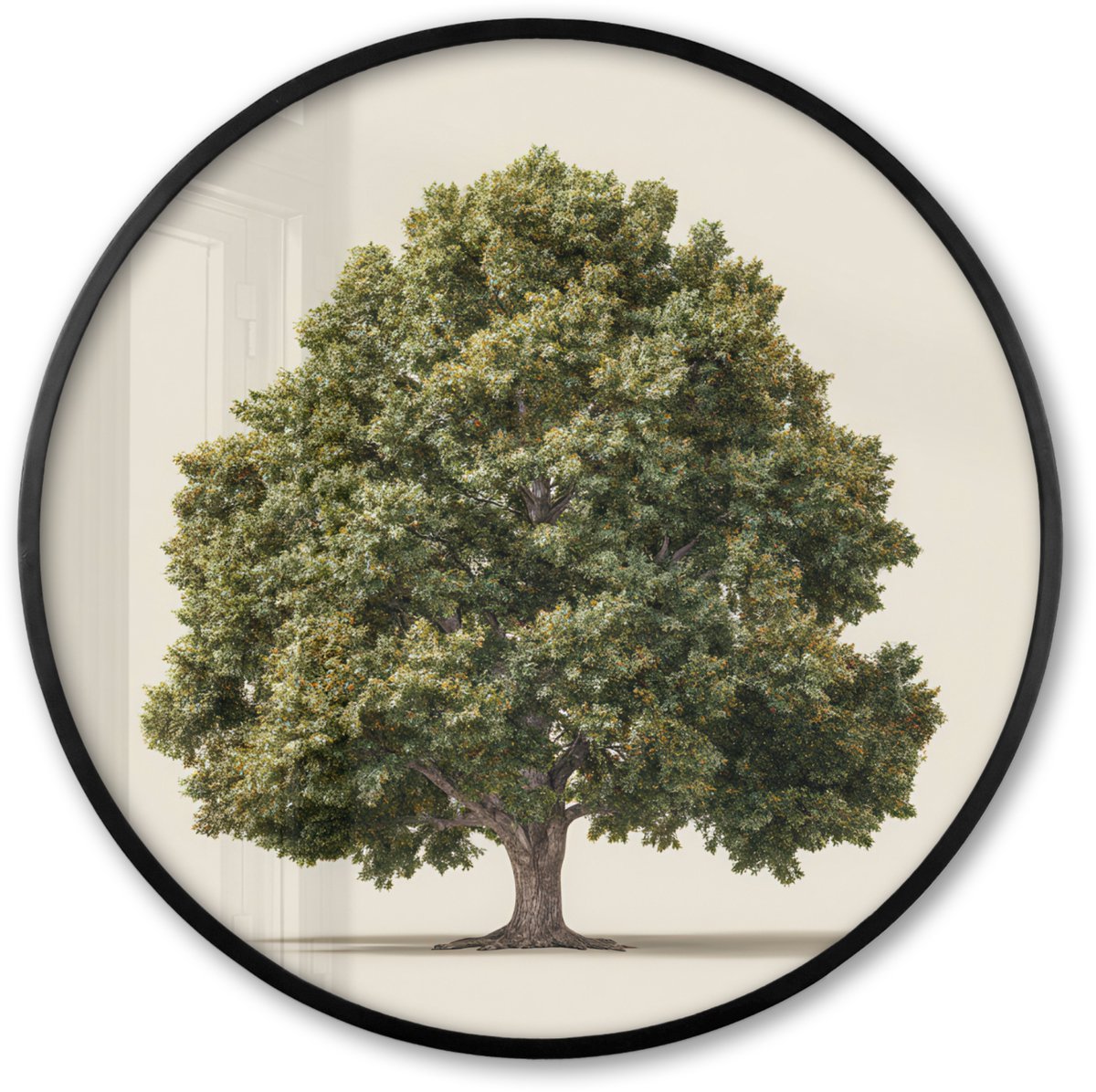 FrameYourWall Poster in lijst Rond - Fotolijst 80x80 cm - Posters - Eikenboom - Groen - Lichte achtergrond - Ronde posterlijst zwart - Decoratie - Wanddecoratie woonkamer - Muurdecoratie slaapkamer