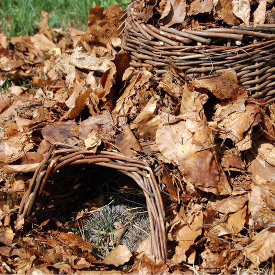 Esschert Design - Hedgehog Basket Willow Branches - Marron - 53 x 41 x 21 cm