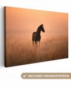 Cheval - Prairie - Coucher de soleil
