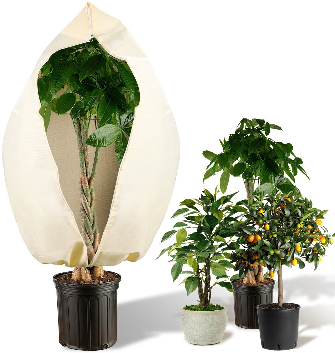 Plantenhoes tegen vorst - met aantrekkoord - Winterafdekhoes voor planten - 120×180cm - Grote gewasbeschermingszak - Potbeschermer - Hoogwaardige - Struik- 100g/㎡