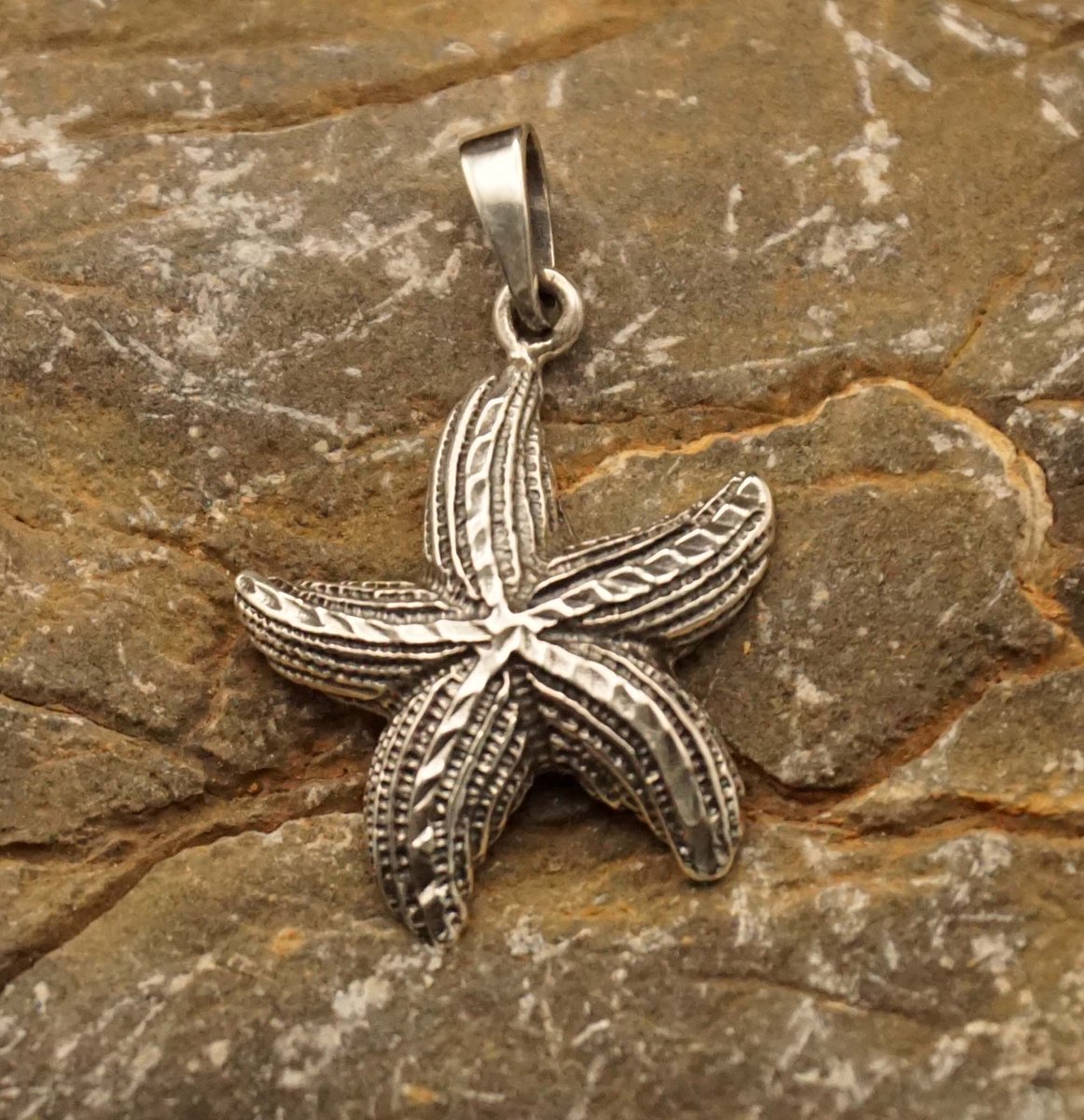 Sterling zilveren hanger van een zeester - zilveren hanger zeedier - hanger van 925 zilver zeester - silber pendant starfish - mooie zeedier hangertje voor aan een ketting - zilveren hanger van zeedier die op de bodem van de zee leeft