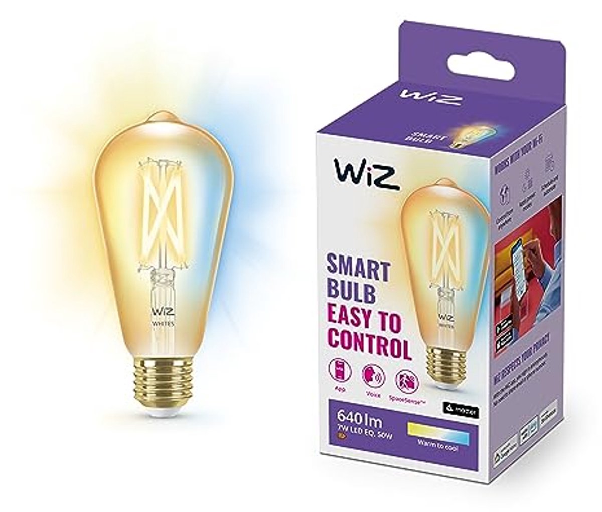 Slimme Filament Lamp E27 - Warm en Koel Wit Licht - LED Verlichting - 50W