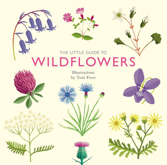 Little Guides - The Little Guide to Wildflowers - cover