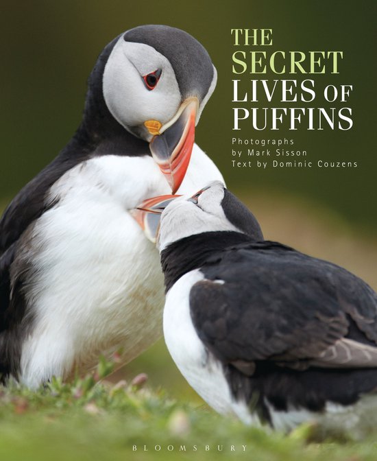 The Secret Lives of Puffins - cover