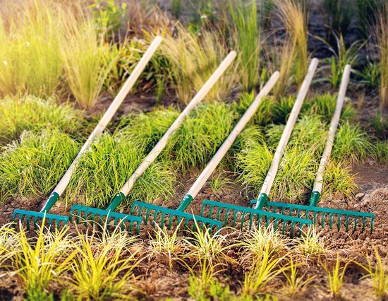 KADAX Hark van metaal, platte hark met steel van hout, bladbezem voor tuin, bloembed, bladbreken, gazonhark, groen, tuingereedschap, hooikoork, tuingereedschap, hark (16 tanden) van Merkloos	 — afbeelding 3
