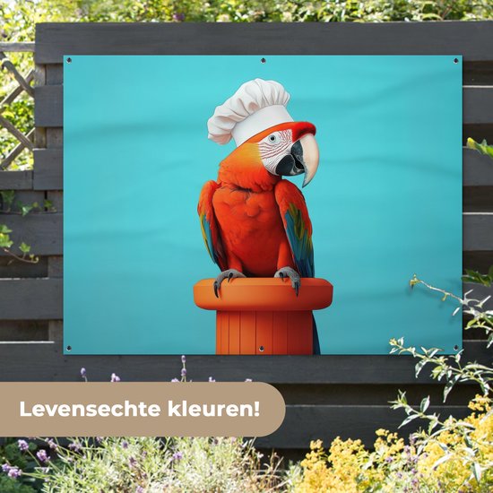 Tuinposter 160x120 cm - Tuindecoratie Ara - Koksmuts - Sokkel - Grappig - Poster voor in de tuin - Buiten decoratie - Schutting tuinschilderij - Tuindoek muurdecoratie - Wanddecoratie balkondoek