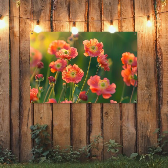Een poster met oranje klaprozen verlicht door zonlicht, hangend aan een houten schutting.