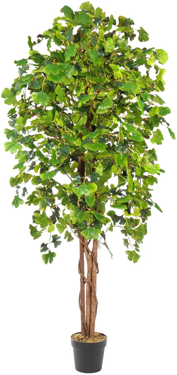 Kunstpalm Kunstboom Ginkgo - 180cm - Groen | Kunst notenboom - Groene nep boom - volle kunst boom Donkergroen