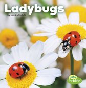 Little Critters - Ladybugs